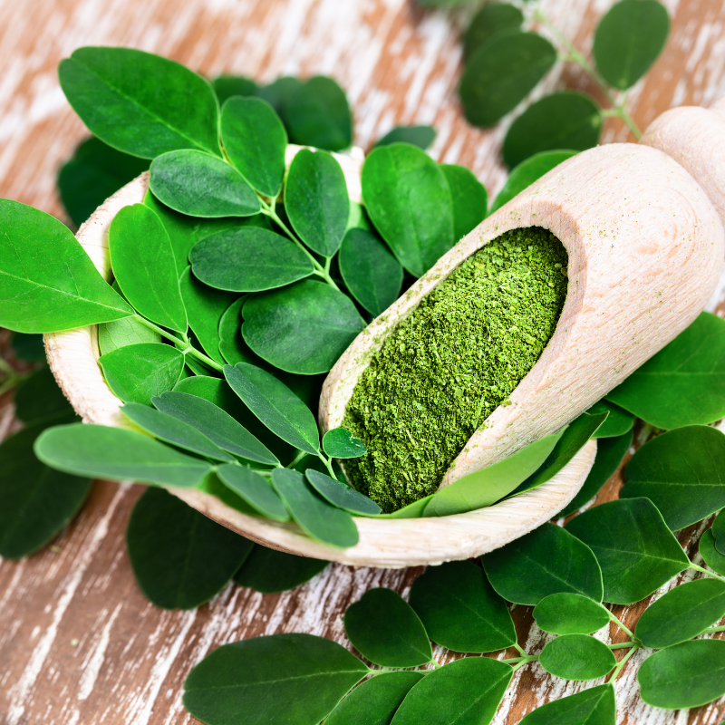 Moringa